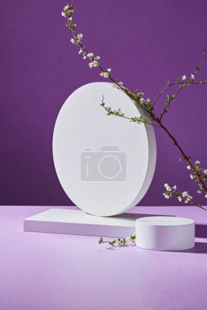 Photo for Round and rectangle podium or pedestal in white color decorated with white flower branch. Purple background. Empty space to show cosmetic product. - Royalty Free Image