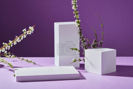 Téléchargez les photos : Podiums rectangulaires et cubiques de couleur blanche avec quelques branches de fleurs blanches. Fond violet minimaliste avec espace vide pour afficher le produit - en image libre de droit