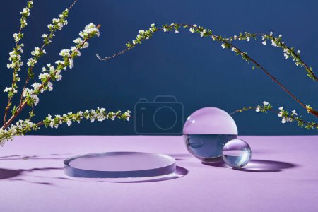 Photo for Glass transparent round podium and balls decorated with some flower branches on dark background. Blank space for product presentation - Royalty Free Image