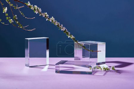 Photo for Glass transparent podiums in rectangle and cube shape are displayed with flower branches on dark background. Empty space for product promotion - Royalty Free Image
