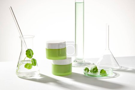 Photo for Empty label jars and an erlenmeyer flask with a glass rod and gotu kola leaves. Laboratory concept for cosmetic product extracted from Gotu kola (Centella asiatica) - Royalty Free Image