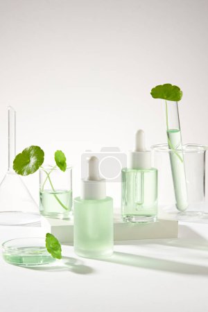 Photo for Laboratory concept with some glassware and empty label bottles with dropper to promote product extracted from Gotu kola (Centella asiatica). Gotu kola effectively anti-aging skin - Royalty Free Image