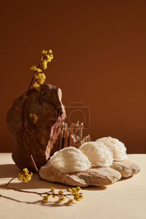Edible bird nests placed on stone, decorated with yellow flower branches on dark background. Bird nest is popular in Asia, it helps protect the skin barrier and provide anti-aging properties