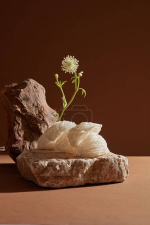 Edible bird nests are arranged on a stone and embellished with white flower branches. Bird nest is well-liked in Asia because it promotes skin barrier health and has anti-aging benefits.