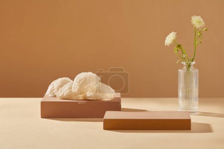 Photo for Some bird nests are placed on rectangle pedestal and an empty brown podium. Blank space to show product. Bird nest is a luxury food to get better health and great skin, popular in Asia - Royalty Free Image
