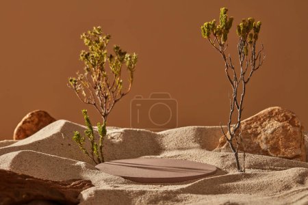 Téléchargez les photos : Scène minimaliste décorée de pierres et d'arbres. Un podium rond vide placé sur le sable pour exposer des produits cosmétiques - en image libre de droit