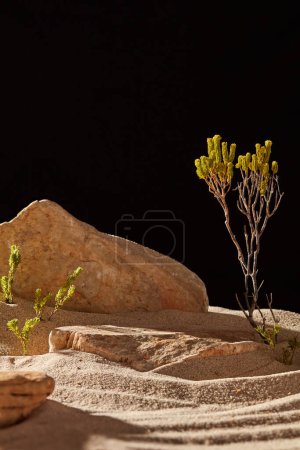 Photo for Front view of some stones and green trees displayed on the sand. Blank space for cosmetic product promotion. Natural concept - Royalty Free Image