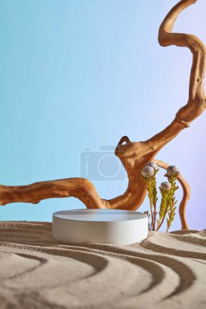 Photo for A white podium in round shape putted on the sand, displayed with big tree branch and some flowers. Natural skincare beauty product concept with empty area - Royalty Free Image