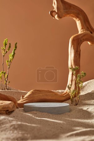 Photo for A big tree branch decorated with sand and few small tree, a circle pedestal in gray color. Blank space for product promotion. Natural concept - Royalty Free Image