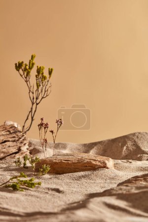 Photo for Front view of desert scene display with the sand, trees and small flowers. A stone with empty space for product presentation - Royalty Free Image