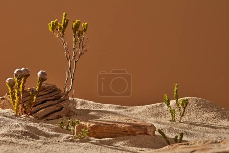 Téléchargez les photos : Un paysage désertique avec de petites fleurs, des arbres et du sable avec un bloc de pierre vide pourrait être utilisé pour afficher votre produit - en image libre de droit