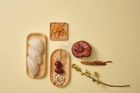 Bird's nest placed on a wooden plate and next to it is cordyceps, lingzhi mushroom, ginseng and a dish of herbs, decorated with flower branch. A luxury combination for health, body and skin