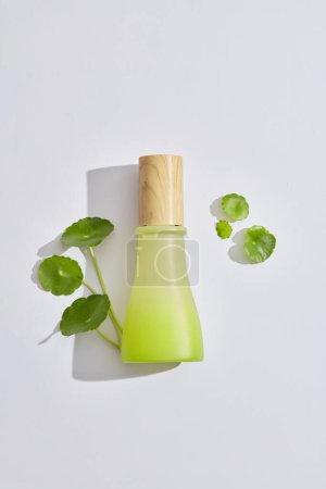 Photo for A jar with wooden cap decorated with gotu kola leaves against a white background. Cosmetic product branding mockup. Gotu kola (Centella asiatica) is good for skin - Royalty Free Image