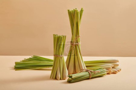 Photo for Several bunches of lemongrass (Cymbopogon citratus) are decorated on a pastel background with front view. Lemongrass can be used in cooking or as a herbal to enhance health - Royalty Free Image