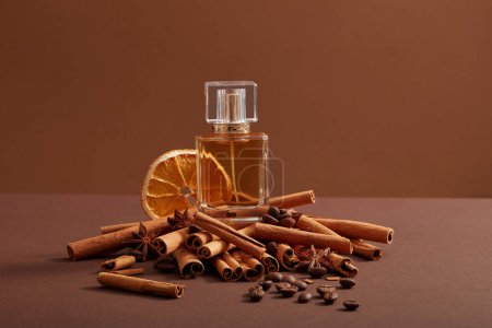 Photo for A glass transparent bottle filled with perfume extracted from coffee beans, cinnamon sticks and dried orange slice, displayed on dark minimalist background. Product mockup - Royalty Free Image