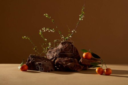 Foto de Mandarín. Mandarina. Fruta dulce, madura y fresca. Vista frontal del extracto de mandarina - Imagen libre de derechos