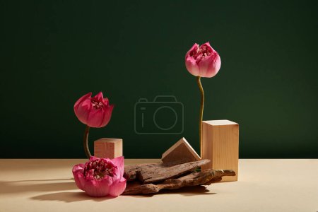 Vorderansicht einiger Lotusblumen (Nelumbo nucifera), die neben Holzpodesten und Baumzweigen stehen. Konzept des Minimalismus