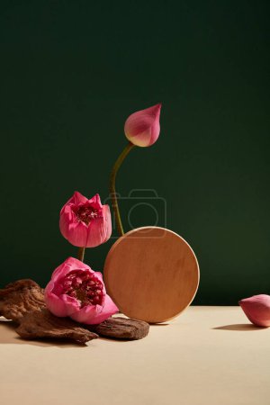 Photo for In the dark green background, lotus blooms (Nelumbo nucifera) and a lotus bub are adorned with a wooden circle podium - Royalty Free Image