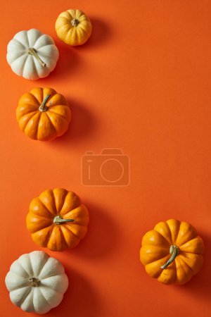 Photo for Top view of halloween white and orange pumpkins with different sizes. Empty area for product presentation - Royalty Free Image