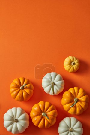 Photo for Many halloween pumpkins arranged at the bottom. Top view. Blank space for text or product promotion. - Royalty Free Image