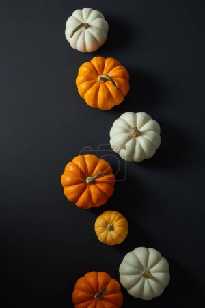 A dark background with orange and white pumpkins in a flat lay arrangement for Halloween. Top view