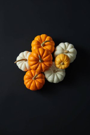 Happy Halloween holiday concept. A pile of orange and white pumpkins. Text can be added to empty space