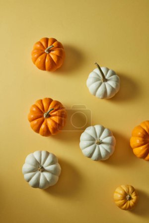 Téléchargez les photos : Citrouilles blanches et oranges éparpillées sur le fond jaune. Couché plat, vue du dessus - en image libre de droit