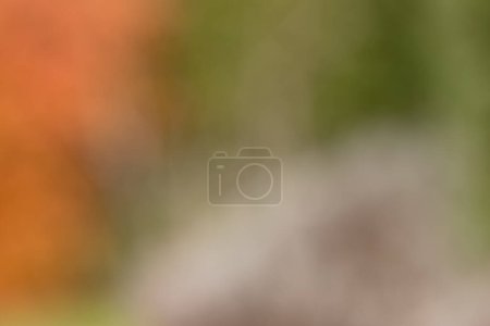 Téléchargez les photos : Blurred green and orange autumn leaves create beautiful background for out of focus photo with copy space - en image libre de droit