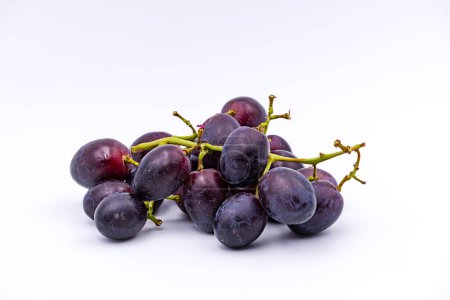 Foto de A panicle of ripe blue grapes photographed with high depth of field and cropped against white background - Imagen libre de derechos