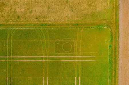 Photo for Green fields of an agricultural farm with tractor tracks in spring seen directly from above - Royalty Free Image