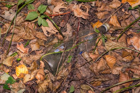 Foto de Una botella de vidrio contaminando el bosque en Odenwald alemán en crisis de plástico - Imagen libre de derechos