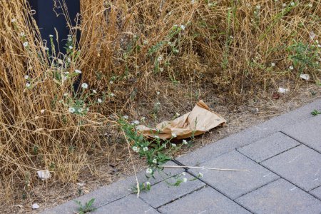 Photo for Pollution by throwing away a paper bag on the street, Germany - Royalty Free Image