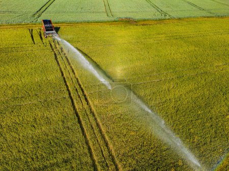 Photo for Aerial view of sprinkler irrigation with water jet blown by wind - Royalty Free Image