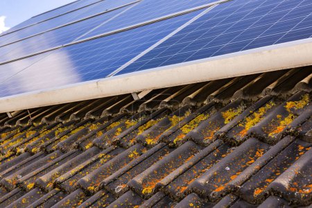 Photo for Yellow and orange stains on brown roof tiles underneath solar panels on house roof, Germany - Royalty Free Image