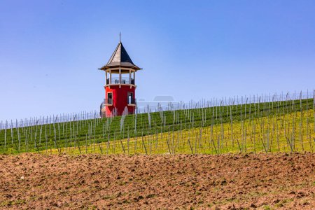 Téléchargez les photos : La Tour de Bourgogne de Rheinhessen est une tour d'observation entourée de vignobles - en image libre de droit