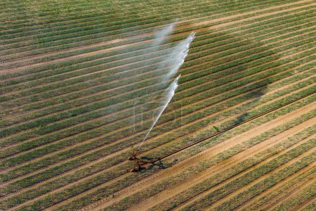 Photo for Water of an irrigation system on a field is atomized by wind into water mist from drone perspective - Royalty Free Image