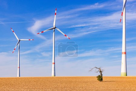 Foto de Varias turbinas eólicas innovadoras de diferentes tamaños en un campo estéril detrás de un viejo árbol en primer plano - Imagen libre de derechos