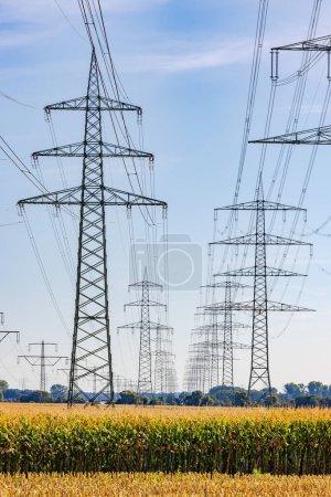 Foto de Zona rural con campo de maíz y torres de alta tensión y líneas aéreas hasta el horizonte, retrato de la crisis energética en Alemania - Imagen libre de derechos