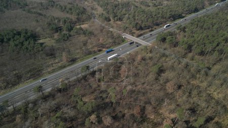 Téléchargez les photos : Arbres malades et dépérissement de la forêt sur une autoroute à forte circulation et empreinte CO2 comme vidéo aérienne avec drone - en image libre de droit