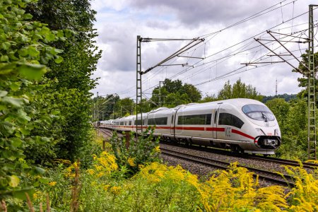 An intercity express train on a railroad track between nature, trees and flowering plants in the countryside