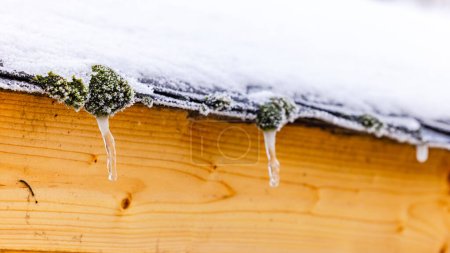 Details von Moos und Eiszapfen auf dem schneebedeckten hölzernen Gartenhaus im verschneiten Winter