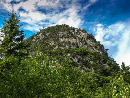 Téléchargez les photos : La montagne Beehive en été, parc national Acadia, Maine - en image libre de droit
