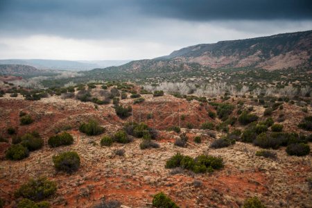 Photo for Cloudy Day at Palo Duro Canyon State Park, Texas - Royalty Free Image