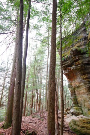 Vue à Whispering Cave, Hocking Hills State Park, Ohio