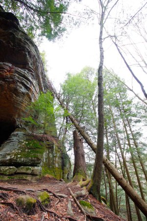 Vistas en Whispering Cave, Hocking Hills State Park, Ohio