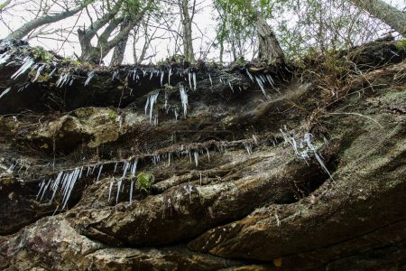 Téléchargez les photos : Icicles, Grotte Old Man's, Hocking Hills State Park, Ohio - en image libre de droit