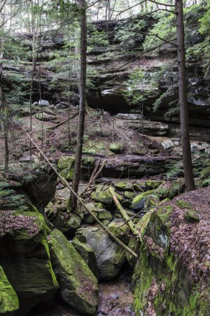 Vistas en Old Man 's Cave, Hocking Hills State Park, Ohio