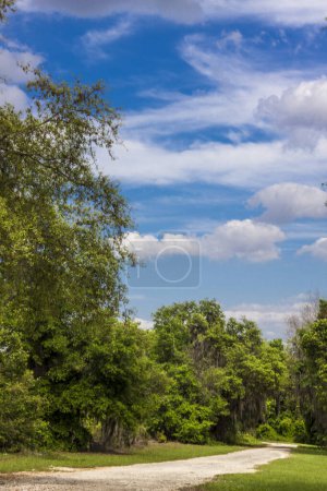 Views Seen from the Lake Apopka Loop Trail, Florida
