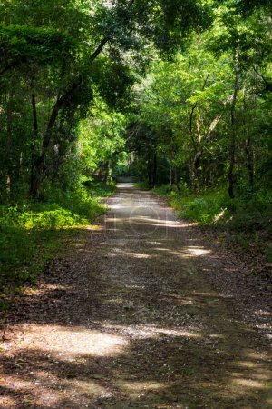 Lac Apopka Loop Trail, Floride