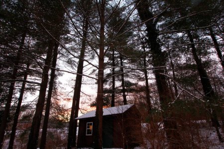 Petite cabane enneigée dans les bois pendant une journée d'hiver